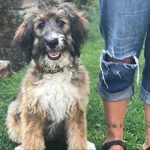 Meet your Posher, Alli